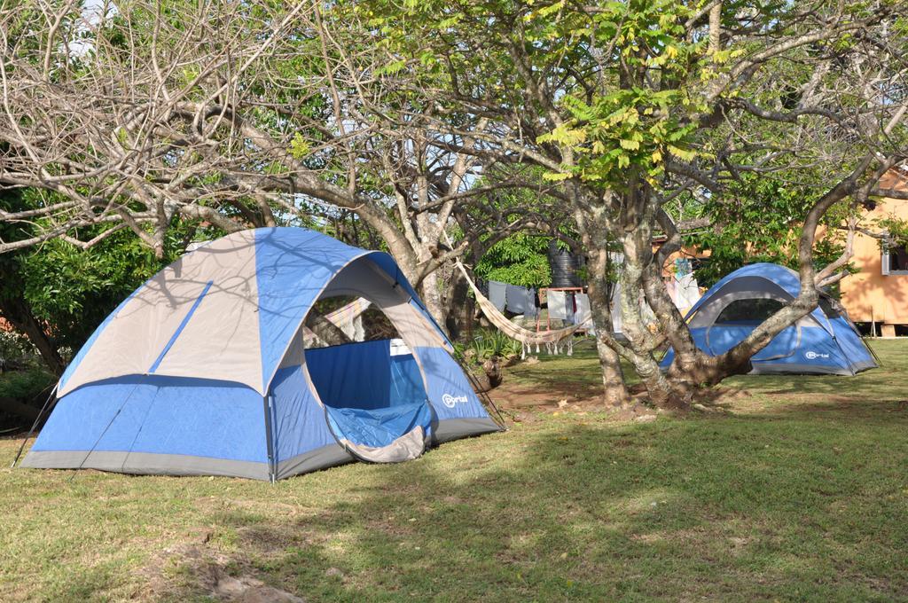 Fish Tobago Guesthouse Buccoo Exterior foto